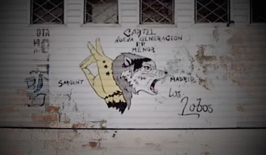 VIOLENCIA URBANA. Los Lobos son la organización criminal que más ha crecido y su influencia traspasa las fronteras, hacia Perú, Colombia y Chile. 