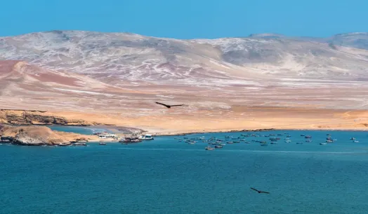 ECOSISTEMA. Once empresas investigadas por pesca ilegal en la Reserva Nacional de Paracas serían beneficiadas por multas en riesgo de prescribir.