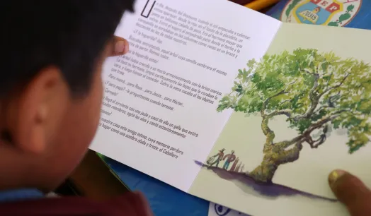 APRENDIZAJES. La última evaluación de aprendizajes muestra crecimiento en cuarto de primaria y caídas en sexto de primaria, sobre todo, en el sector privado.