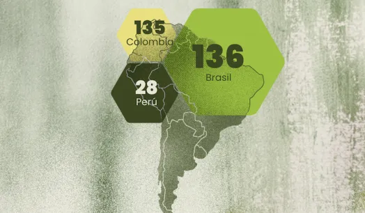 Mapa de bonos de carbono