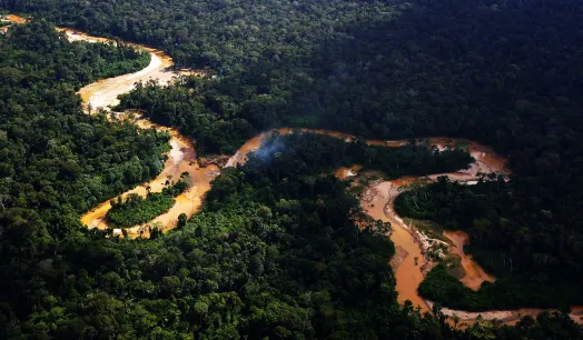 ALERTA. Pese a ser considerada un área destinada a la conservación, OjoPúblico detectó pérdida de bosques en zonas donde el Grupo Wong maneja proyectos de bonos de carbono.