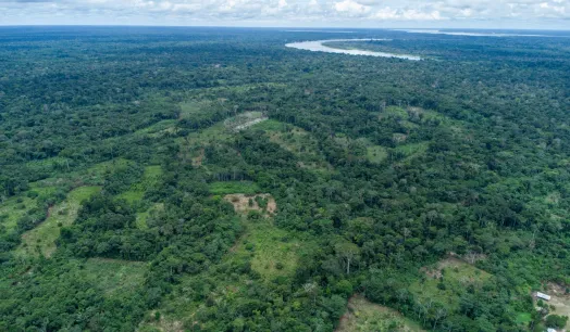 DEFORESTACIÓN. Un paquete de 12 iniciativas legislativas es cuestionado por organizaciones indígenas y ambientales por su posible impacto en la Amazonía.