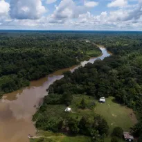 MATERIA PRIMA. Antes de llegar hasta un centro de transformación primaria, la madera puede recorrer cientos de kilómetros por río o carretera. 