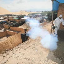 ALERTA. La Libertad, Piura, Ica y Áncash son las regiones con más casos de dengue en lo que va del 2024 y serán declaradas en emergencia sanitaria. 