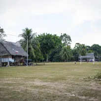 POSTURA. El grupo Ocho Sur, uno de los principales productores de aceite de palma del país, asegura que en sus territorios ni los de sus proveedores se ha perdido bosque.