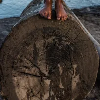 TALA. El algoritmo de OjoPúblico pondera los riesgos de comercio ilegal de madera amazónica.