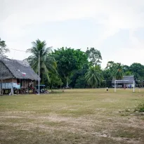 DECLARACIÓN. La empresa Ocho Sur niega cualquier relación con la pérdida de bosques en Ucayali, región donde tiene sus actividades en el sector de palma aceitera. 