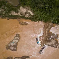 RESPONSABLES.  La destrucción de los bosques crece al ritmo del alza histórica del precio del gramo del oro, y de los intereses económicos y políticos de sus depredadores. 