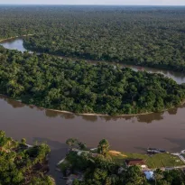 AMAZONÍA. El 39% de las 27,8 millones de hectáreas que almacenan la mayor cantidad de carbono en la Amazonía están amenazadas.