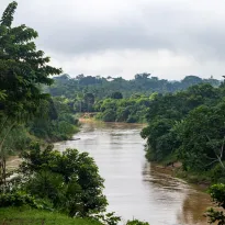 EQUILIBRIO. Cuando los ríos de la Amazonía sufren derrames, todos los seres que lo habitan y que conviven en armonía resultan afectados.