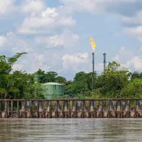 YASUNI. En 2023, un referéndum histórico determinó el fin de la actividad petrolera en este parque nacional de Ecuador, pero hasta ahora el gobierno no cesa en las operaciones.