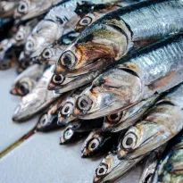 CLAVE. Con la comparación de muestreos, la Contraloría detectó que Produce había archivado procesos sancionadores sin considerar precedentes administrativos y judiciales.