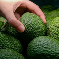 SUBSIDIADAS. Las empresas del sector agroexportador que se beneficiarán de la nueva Ley Agraria, también gozan de otros previlegios tributarios como el drawback. 